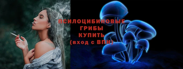 круглые Алексеевка