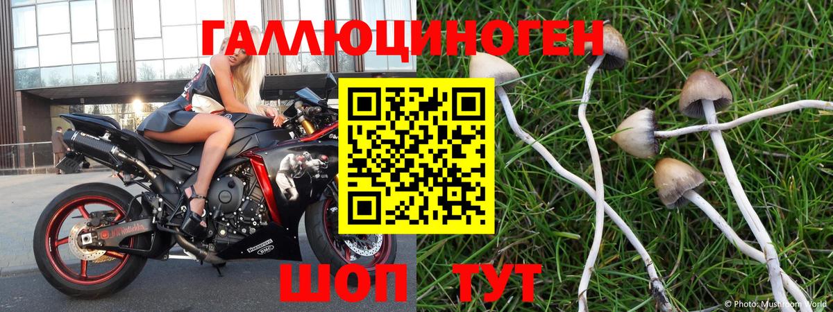 Жуковский  Псилоцибиновые грибы ЛСД  Галлюциногенные грибы MAGIC MUSHROOMS  Вход с VPN 