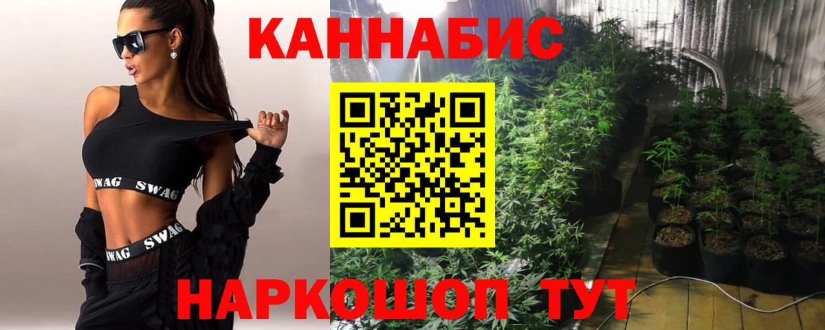 Бошки марихуана THC 21% Жуковский